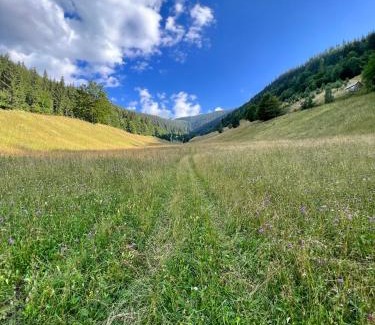 Faget House | Ghimes Panorama