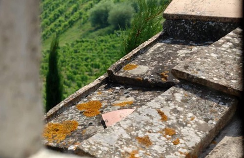 Poggiarello Ski Chalet | Giaggiolo Holiday Home