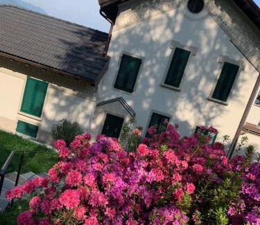 Belgirate Apartment | Giardini MAGNOLIA
