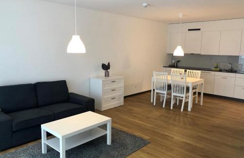 Arbon Apartment | Giesserei