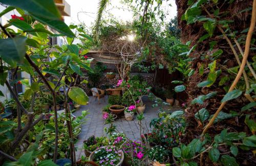 Neve Zohar House | Gil's Guest Rooms