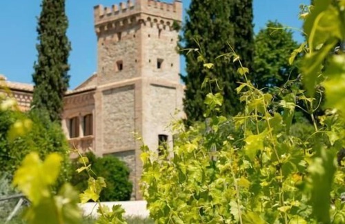 Pietrauta Apartment | Ginestra