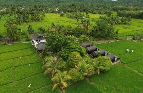 Bohorok Resort | Gino's Place - Guest House & Jungle Trekking