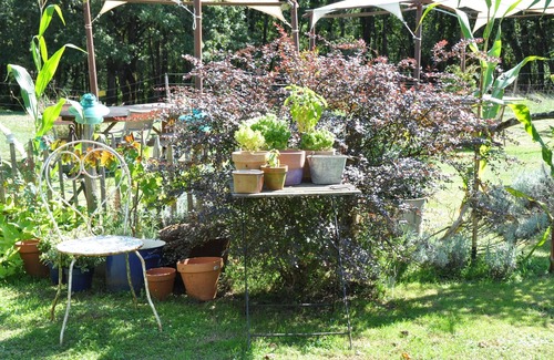 Tremolat House | Gite 4 pers. Dordogne surrounded by trees and close to a traditional inn