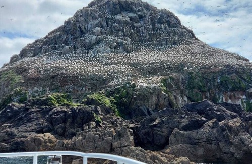 Trevou-Treguignec House | Gîte 6 pers - Beach 10 minutes walk - enclosed garden in quiet area