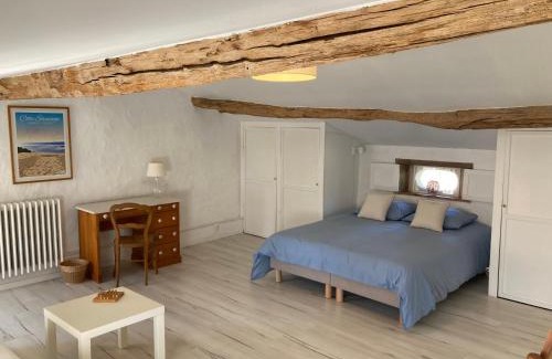 Saint-Simon-de-Pellouaille House | Gite avec piscine et grand jardin