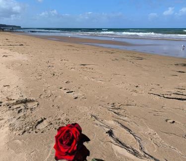 Cartigny l'Epinay House | GITE A THEME D-DAY - situé à 15mn d'Omaha Beach - Animaux OK - Terrain clos - Aucuns voisins