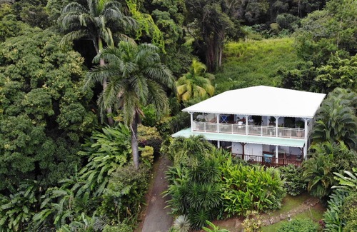 Malendure Apartment | Gîte- appart' Ylang Ylang small sea view in the heart of a tropical garden
