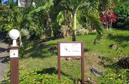 Malendure Apartment | Gîte- appart' Ylang Ylang small sea view in the heart of a tropical garden