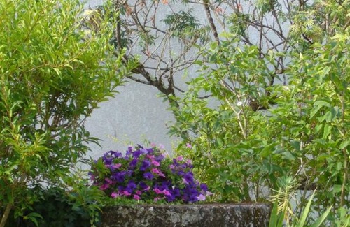 Baignes-Sainte-Radegonde Cottage | Gite Baignes-Sainte-Radegonde, 4 bedrooms, 7 persons