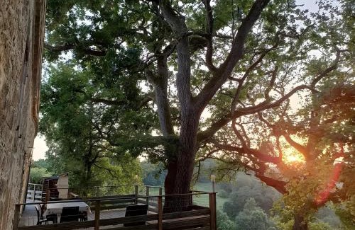 Bourg-de-Visa House | Gite De Caractère En Pleine Nature