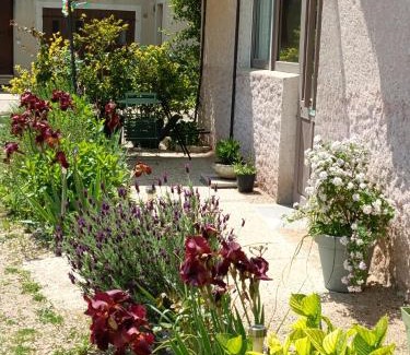 Ameugny House | gite des palmiers