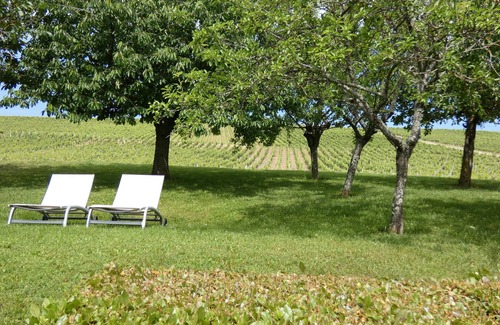 Verdigny Villa | Gîte Des Vignes and its Annex in SANCERRE