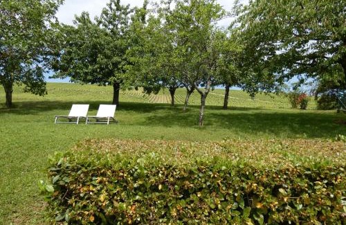 Verdigny House | Gite Des Vignes