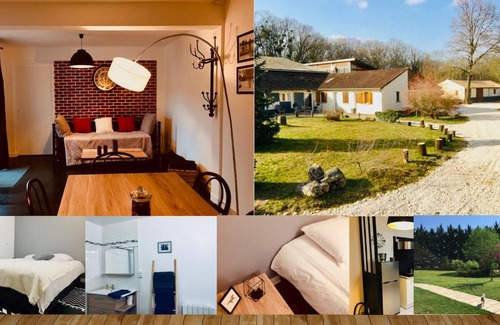 Nouan-sur-Loire House | Gite Ecuries Vineuil Jump