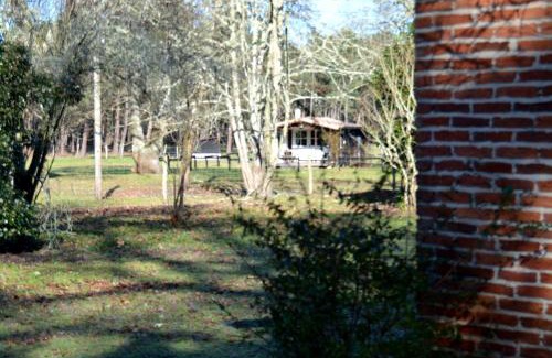 Sainte-Eulalie-en-Born House | Gite foret landaise