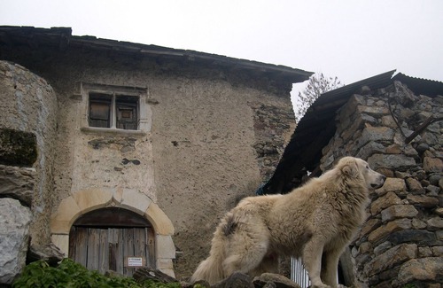 Aste-Beon Cottage | Gite Gritchou near the Gave d'Ossau and the vulture cliff