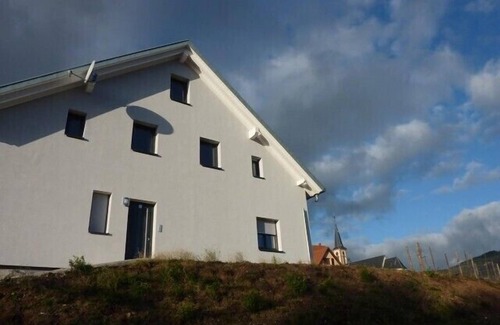 Thannenkirch Apartment | GITE IN THE NATURE BETWEEN VINEYARD AND MOUNTAIN IN THANNENKIRCH