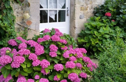 Nonant House | Gîte "In the Shadow of the Oak"