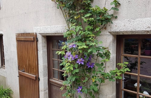 Les Chatelliers-Chateaumur Cottage | Gîte L'eau vive - The mill of Charin - Puy du Fou