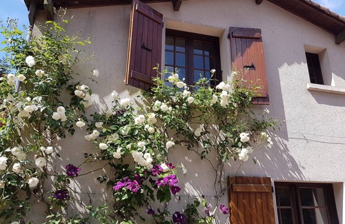 Les Chatelliers-Chateaumur Cottage | Gîte L'eau vive - The mill of Charin - Puy du Fou