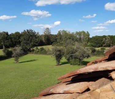 Valigny House | Gite La Volière Ouverte