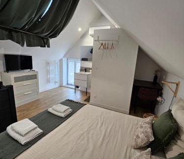 Nouan-sur-Loire House | Gite le Magnolia entre Loire et châteaux