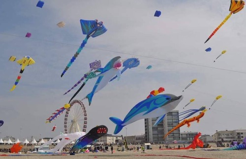 Verton Ski Chalet | GITE LES CHALETS DU FLIERS BETWEEN SEA AND COUNTRYSIDE