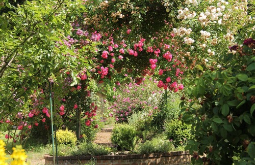 Le Pin House | Gite near Puy du Fou in the classified park of Roches Blanches