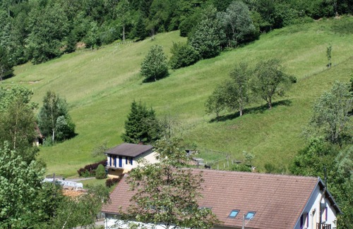 Bussang Apartment | -Gite of 4 people-