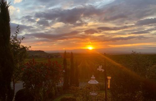 Riquewihr House | Gite Riquewihr "C'est Beau la Vie Alsace"