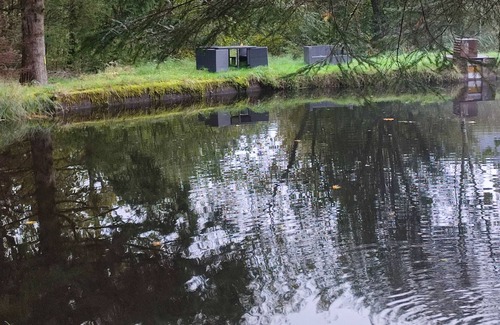 Miellin Apartment | Gite standing Vosges du Sud and plateau of a thousand ponds