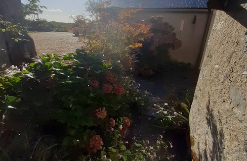 Beaulieu-sur-Layon Cottage | Gîte suitable for events with family or friends