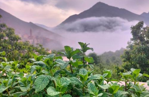 Imlil Bed & Breakfast | Gite Tizi Mizik