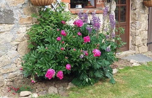 Saint-Yrieix-la-Perche Cottage | Gite tout confort avec Piscine pour apprécier la sérénité de la campagne