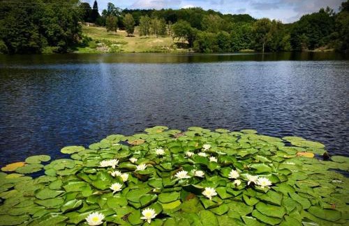 Ceyroux House | Gite w Private Lake - 80Acres NatureTrails PetsOK