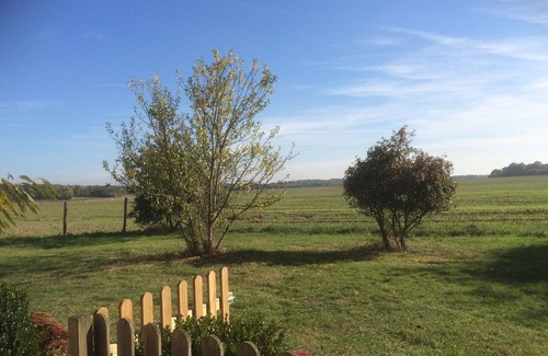 Montreuil-en-Touraine House | Gite with swimming pool in the countryside. Pets welcome!