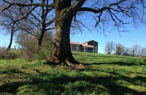 Villefranche-d'Albigeois Other | Gîtes in an old renovated farm