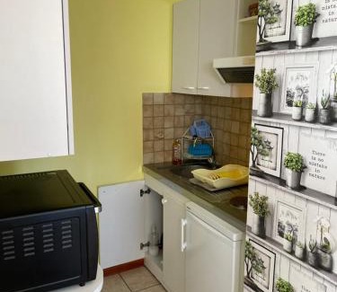 Wangenbourg-Engenthal Apartment | Gites Les Pins et Les Bruyères