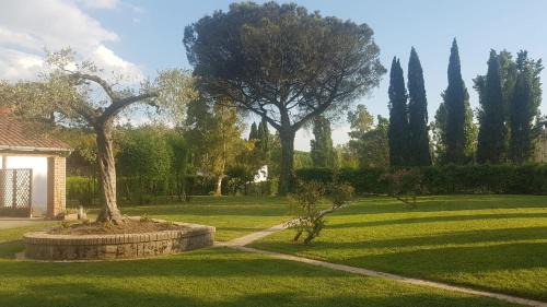 Melizzano Bed & Breakfast | Giunti Agriturismo & Camere
