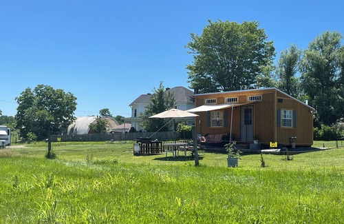 Mount Jackson Cabin | Glamp Shenandoah Valley. Stunning Tiny Home. Farm