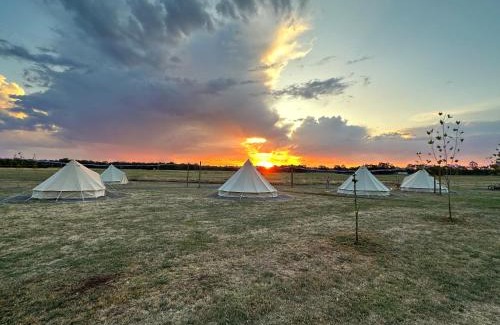 East Wangaratta Other | Glamping at Beltie Park