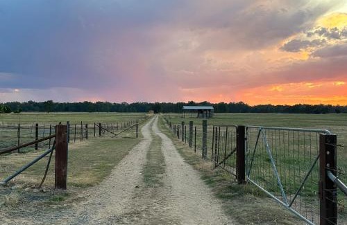 East Wangaratta Other | Glamping at Beltie Park