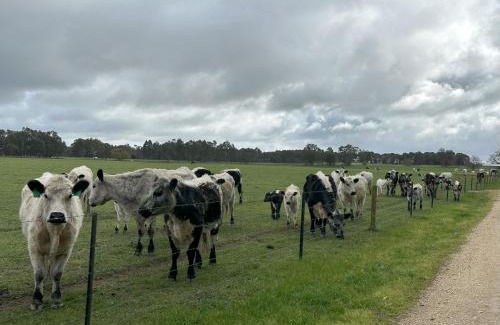 East Wangaratta Other | Glamping at Beltie Park