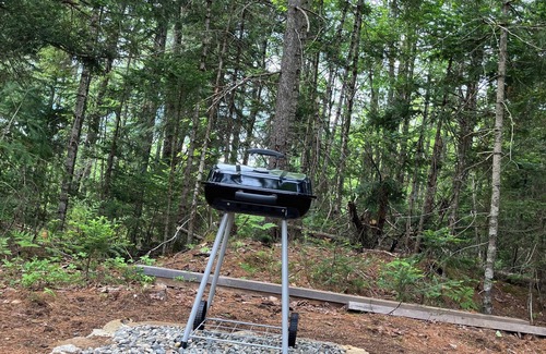 Appleton RV Rental | Glamping at Maine Water Buffalo Farm