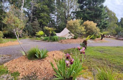 Zeehan Other | Glamping at Zeehan Bush Camp