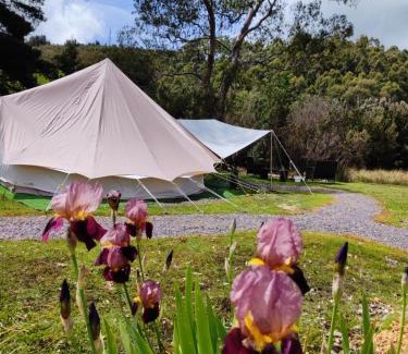 Zeehan Other | Glamping at Zeehan Bush Camp