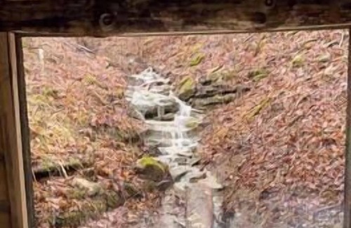 Lynx Cabin | Glamping Cabin | Huge Window | Over a Creek