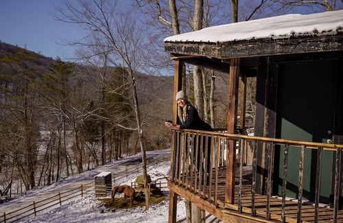 Lynx Cabin | Glamping Cabin | Huge Window | Valley and Cliff Views