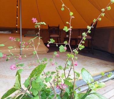 Jeuk Other | Glamping Hoeve Thenaers